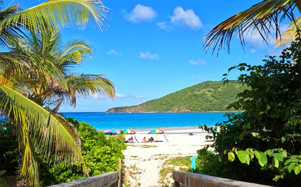 Palm-framed view of Flamenco Beach with white sand, turquoise water, and colorful umbrellas in Culebra, Puerto Rico
